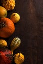 Various pumpkin over wooden background