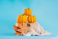 Various of pumpkins in a basket on a blue backgroundAutumn vegetables.Composition of different varieties of pumpkins Royalty Free Stock Photo