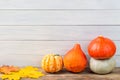 Various pumpkins with colorful maple leaves against light wooden wall background. Autumn and halloween concept. Free space.