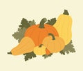 Various pumpkins with leaves. Fall holiday composition for harvest festival or Thanksgiving.