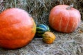 Various pumpkins lying on the hay. Close-up Royalty Free Stock Photo