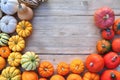 Various pumpkins and squashes border background Royalty Free Stock Photo