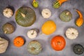 Various pumpkins, squashes and gourds