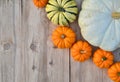 Various pumpkins and squashes frame Royalty Free Stock Photo