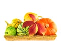 Various pumpkins in wicker box isolated on white background Royalty Free Stock Photo