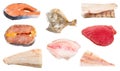 Various raw frozen fishes, steaks and fillets Royalty Free Stock Photo