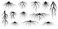 Various realistic tree or shrub roots. Parts of plant, root system with tree stump. Dendrology, study of woody plants