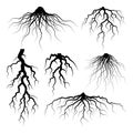 Various realistic tree or shrub roots. Parts of plant, root system with tree stump. Dendrology, study of woody plants