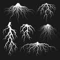 Various realistic tree or shrub roots. Parts of plant, root system with tree stump. Dendrology, study of woody plants