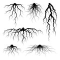 Various realistic tree or shrub roots. Parts of plant, root system with tree stump. Dendrology, study of woody plants