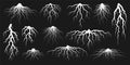 Various realistic tree or shrub roots. Parts of plant, root system with tree stump. Dendrology, study of woody plants