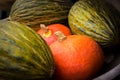 Various ripe pumpkins displayed during farmers market. Fresh bio pumpkins in grocery store