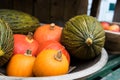 Various ripe pumpkins displayed during farmers market. Fresh bio pumpkins in grocery store