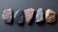 Various rock samples with different textures arranged neatly on a dark background, highlighting their natural beauty Royalty Free Stock Photo