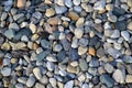 Various Rocks Closeup View