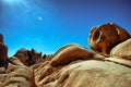 Various rocks at Joshua Tree National Park