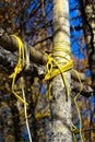 Various ropes left behind on game hanging poles Royalty Free Stock Photo