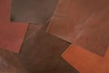 Various samples of genuine leather samples of different colors, brown shades for choice. Manufacturing concept Royalty Free Stock Photo