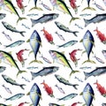 Various sea fishes seamless pattern watercolor illustration isolated on white. Wild fish, tuna, salmon, herring, anchovy