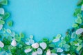 various sea glass pieces on blue background Royalty Free Stock Photo