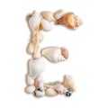 Various sea shells capital E on isolated white background Royalty Free Stock Photo