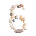 Various sea shells number 6 on isolated white background Royalty Free Stock Photo