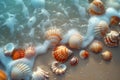Various sea shells scattered on a sandy beach Royalty Free Stock Photo