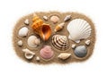 Various seashells of different shapes, sizes, and colors lie on a Royalty Free Stock Photo