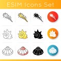 Various seashells icons set