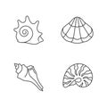 Various seashells pixel perfect linear icons set Royalty Free Stock Photo