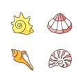 Various seashells RGB color icons set Royalty Free Stock Photo