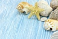 Various seashells and starfish lying on the painted old wooden t Royalty Free Stock Photo