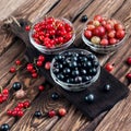 Various seasonal berries Royalty Free Stock Photo