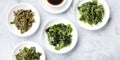 Various seaweed, sea vegetables, panoramic overhead shot with copy space