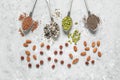 Various seeds in spoons and nuts on a gray concrete grunge background. Top view, flat lay Royalty Free Stock Photo