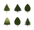 A various set of cute plain Christmas tree with lovely decoration ts flat vector illustration isolated on white background. Merry