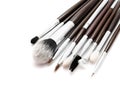 Various set of professional makeup brushes isolated Royalty Free Stock Photo