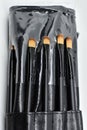 Various set of professional makeup brushes isolated on  white background Royalty Free Stock Photo