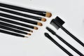 Various set of professional makeup brushes isolated on  white background Royalty Free Stock Photo