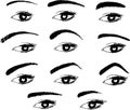 Various shapes of eyebrows