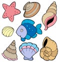 Various shells and fish collection Royalty Free Stock Photo