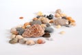 Various shells and pebbles on a light background Royalty Free Stock Photo