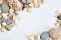 Various shells and pebbles on a light background Royalty Free Stock Photo