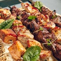 Various Shish Kebab Royalty Free Stock Photo