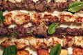 Various Shish Kebab