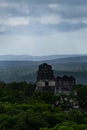 Details of the Ruins of Tikal