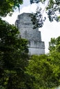 Details of the Ruins of Tikal