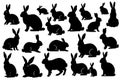 Various silhouettes easter bunnies isolated on white background. Set different