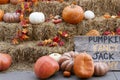 Various sized, shaped, colored pumpkins on hay bales.