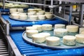 various sizes of blue cheese wheels on a conveyer belt Royalty Free Stock Photo